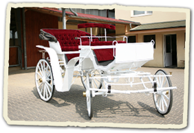 Hochzeitskutsche II